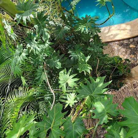 Ferienwohnung The Secret Garden Tulum Exterior foto