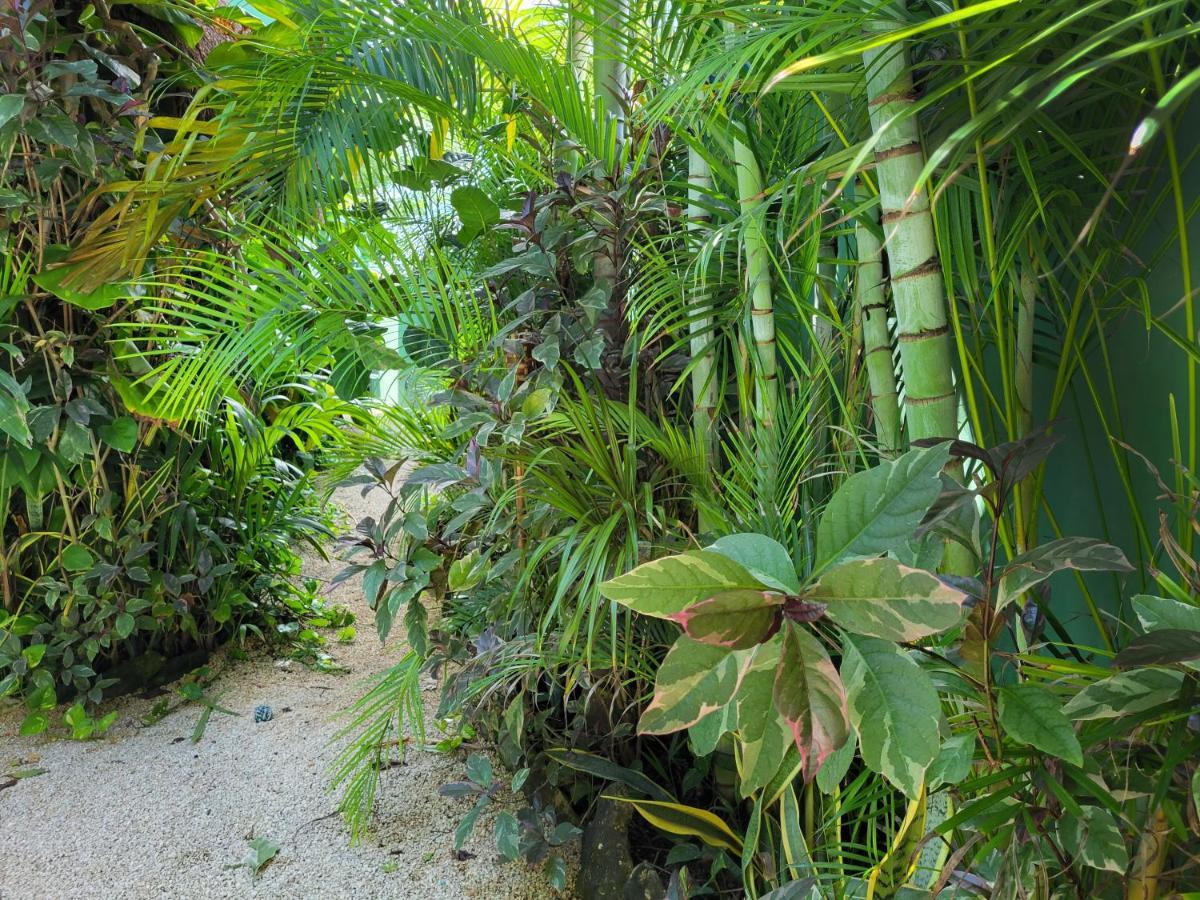 Ferienwohnung The Secret Garden Tulum Exterior foto