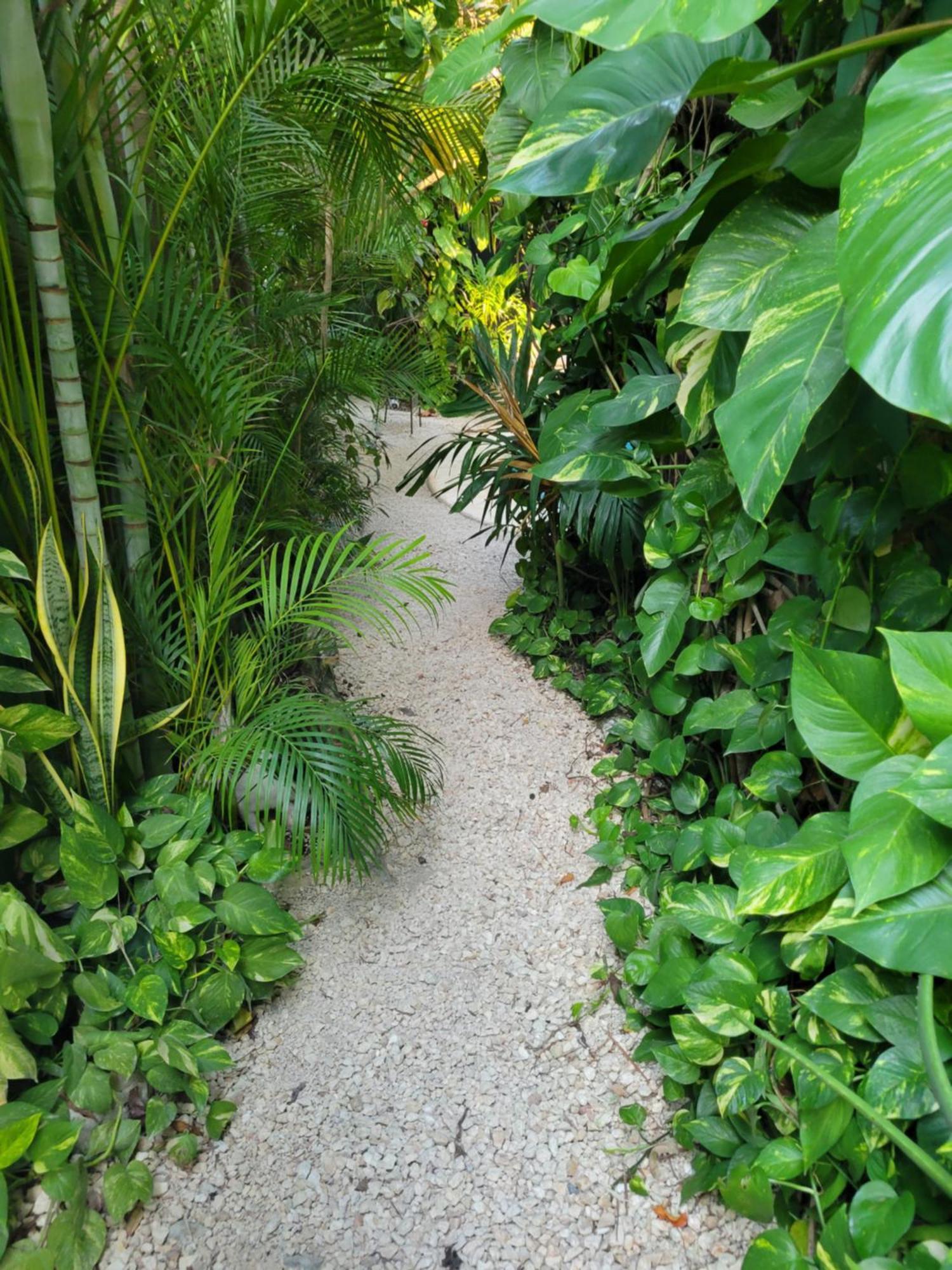 Ferienwohnung The Secret Garden Tulum Exterior foto