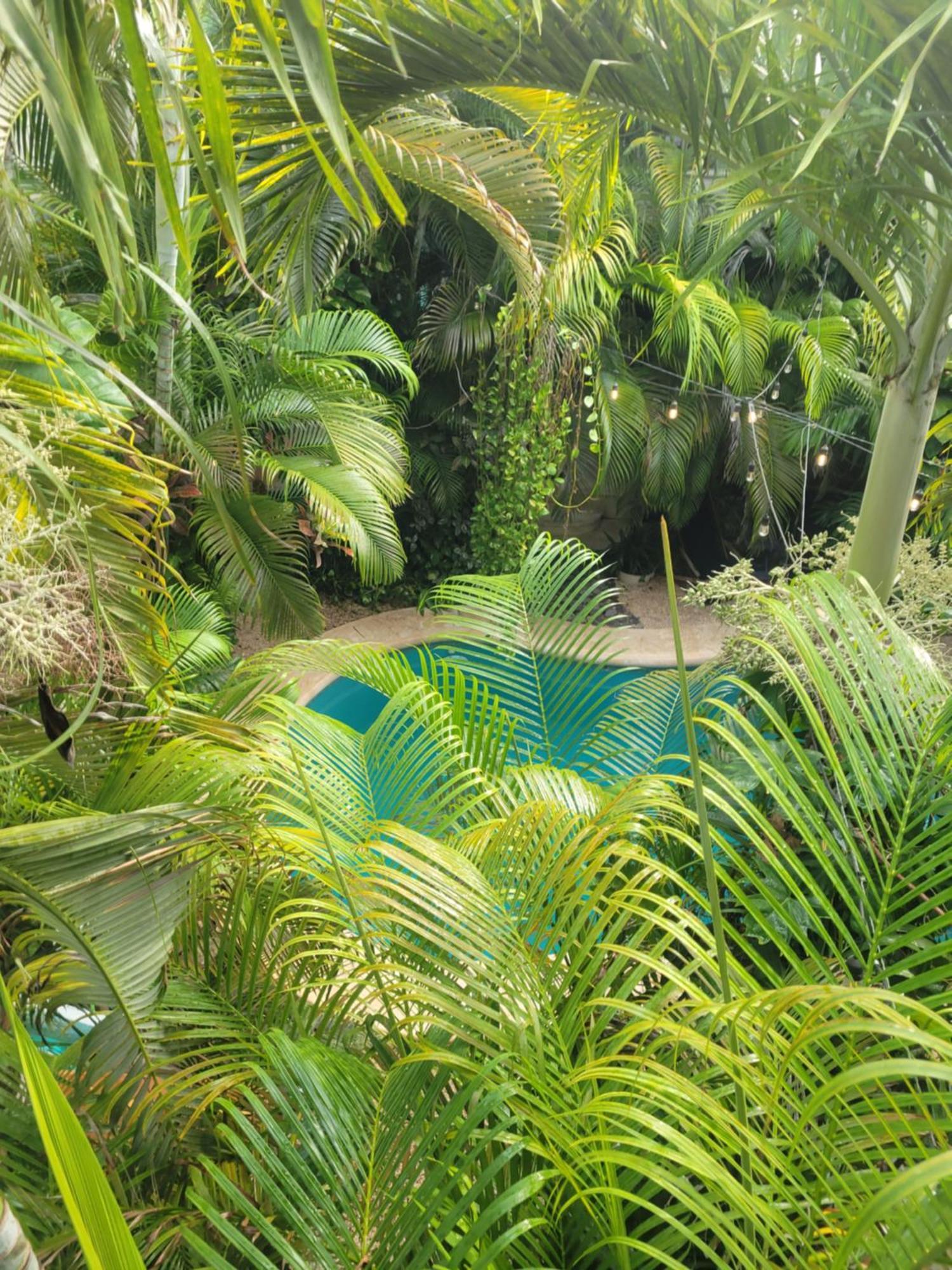 Ferienwohnung The Secret Garden Tulum Exterior foto