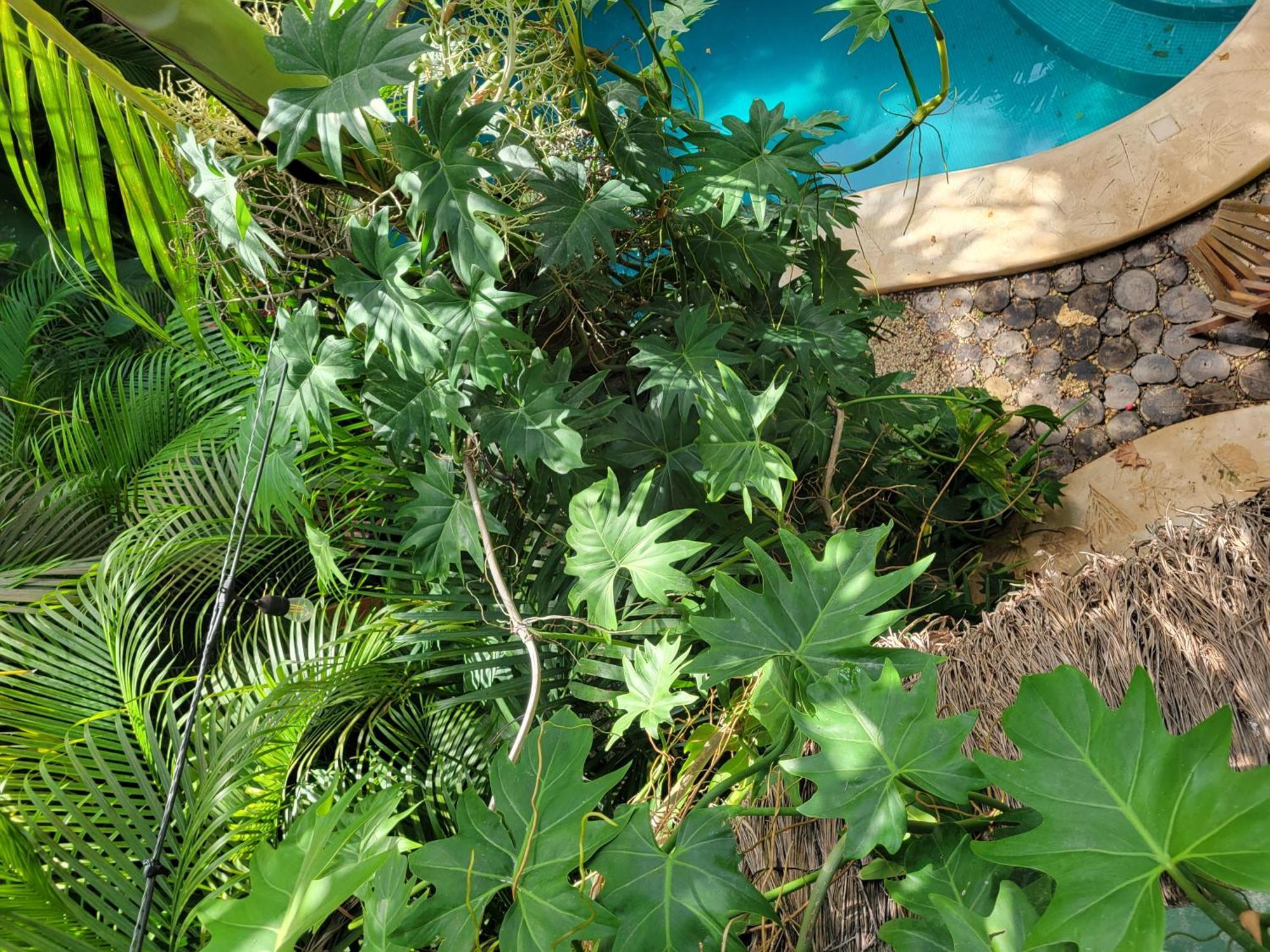 Ferienwohnung The Secret Garden Tulum Exterior foto