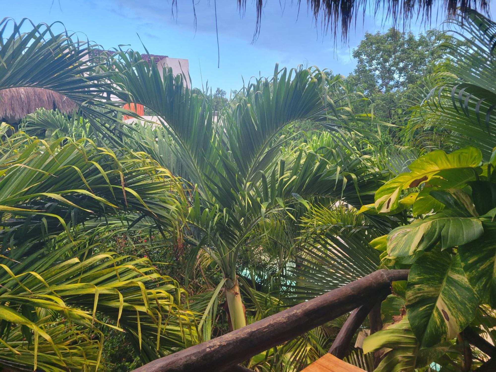 Ferienwohnung The Secret Garden Tulum Exterior foto